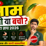 Mango Fruit Trend 2026