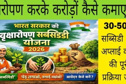 tree plantation scheme subsidy india farmers agroforestry