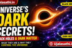 Black Holes and Dark Matter