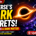 Black Holes and Dark Matter