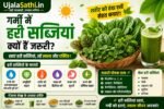 Leafy vegetables benefits in summer