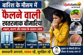 Monsoon Diseases in Hindi